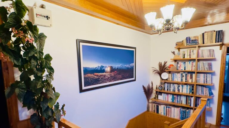 Deodar Cottage Homestay in Kotgarh near Narkand, Shimla (22)