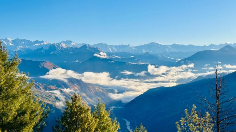 Deodar Cottage Kotgarh mountain view